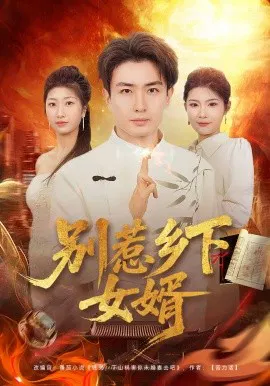 【短剧】别惹乡下女婿
